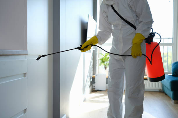 Best Post-Flood Mold Remediation in East Marion, NY