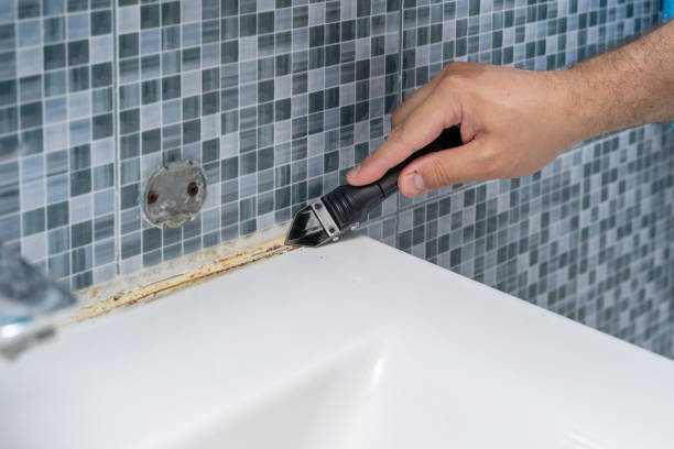 Best White Mold Remediation in East Marion, NY